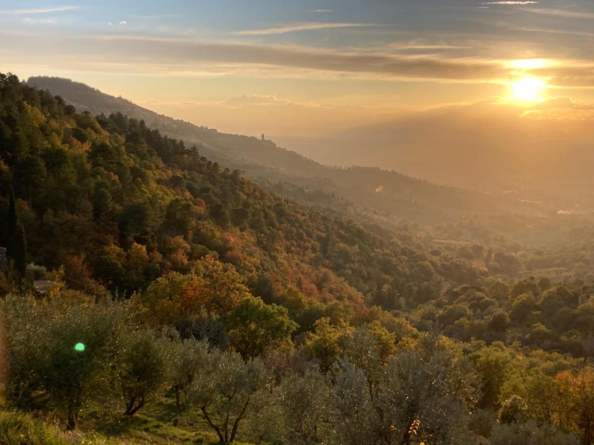 Cortona'S Rooftop Nest 外观 照片